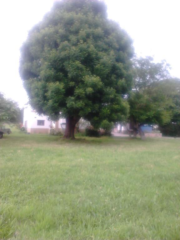 Apartamentos Rurales El Ferreiron Castropol Esterno foto